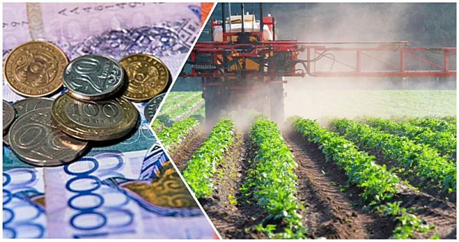 Распределение субсидий: Ербол Карашукеев ответил на критику фермеров