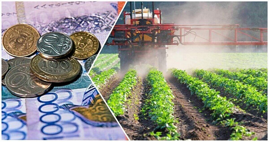 Более 180 фермеров не могут получить субсидии в Кызылординской области