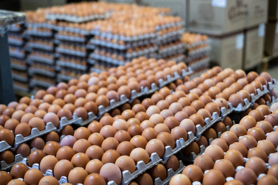 Скачек цен на яйца ожидают в Казахстане